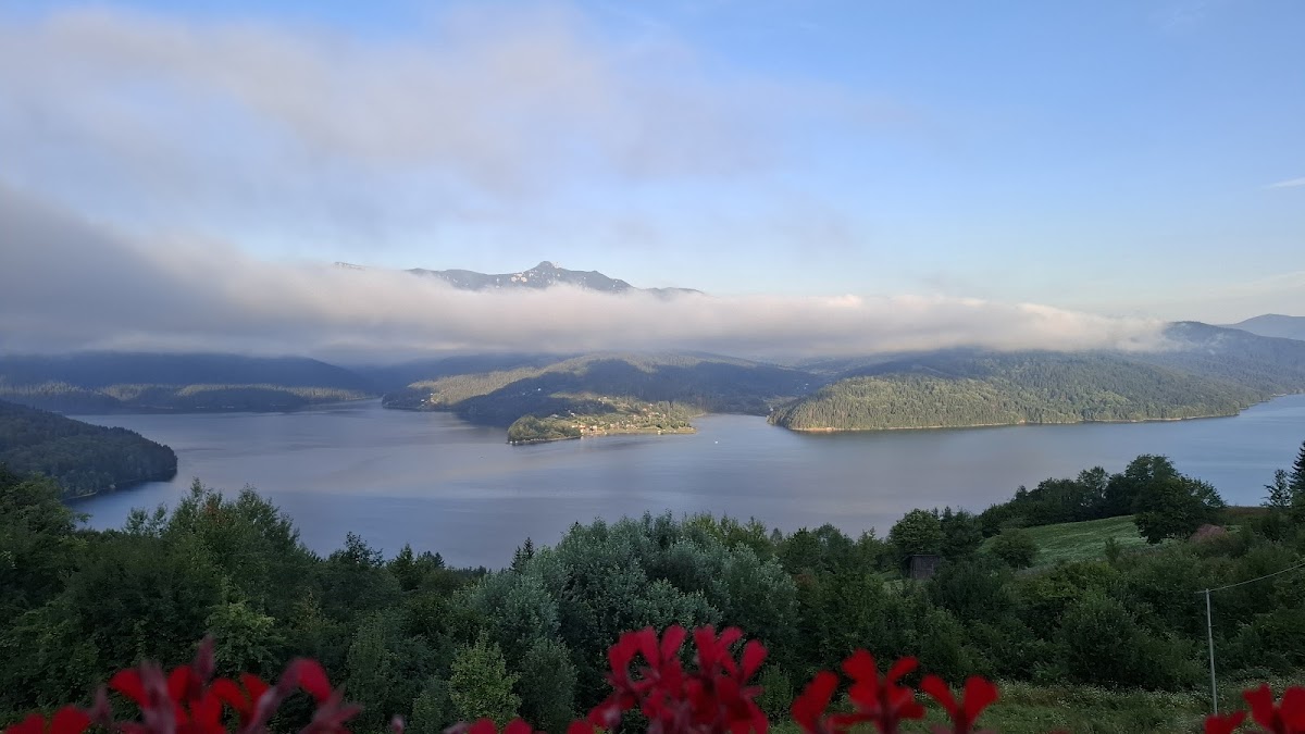 Pensiunea La bunica - foto 4