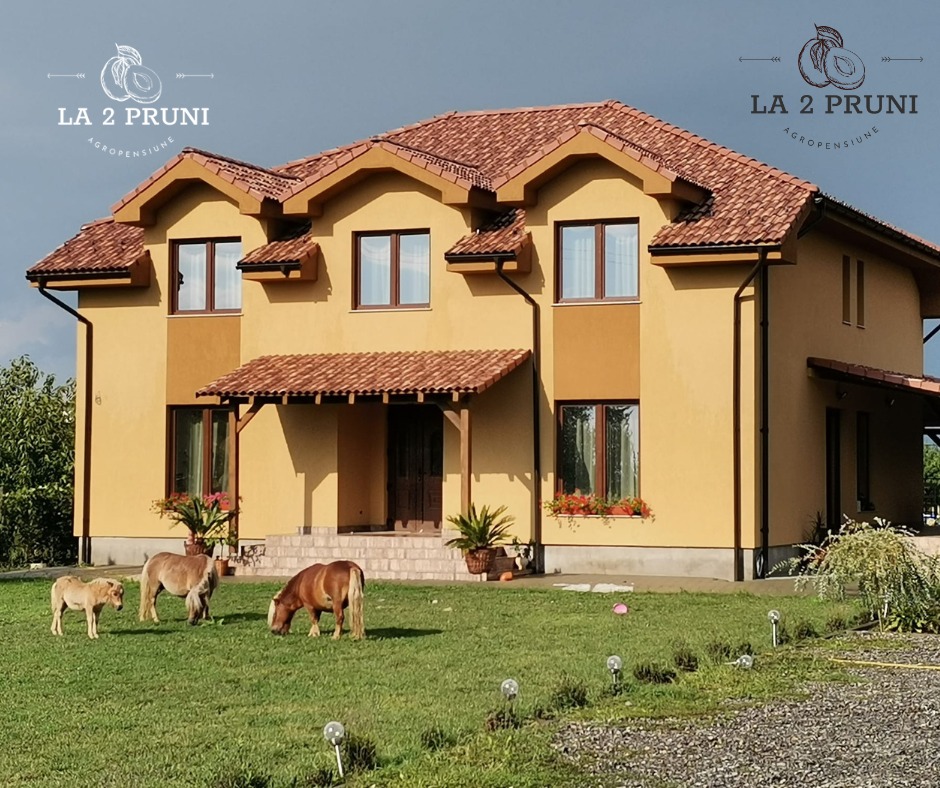 Pensiunea La Doi Pruni - foto 1