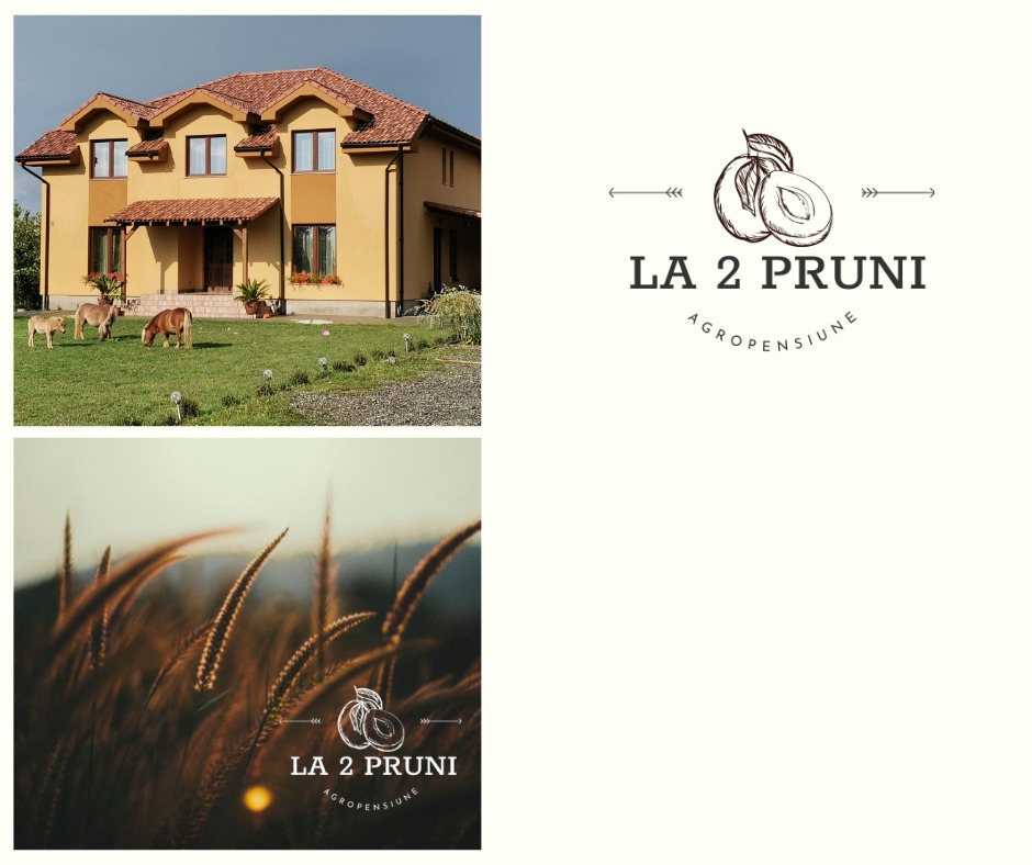Pensiunea La Doi Pruni - foto 3