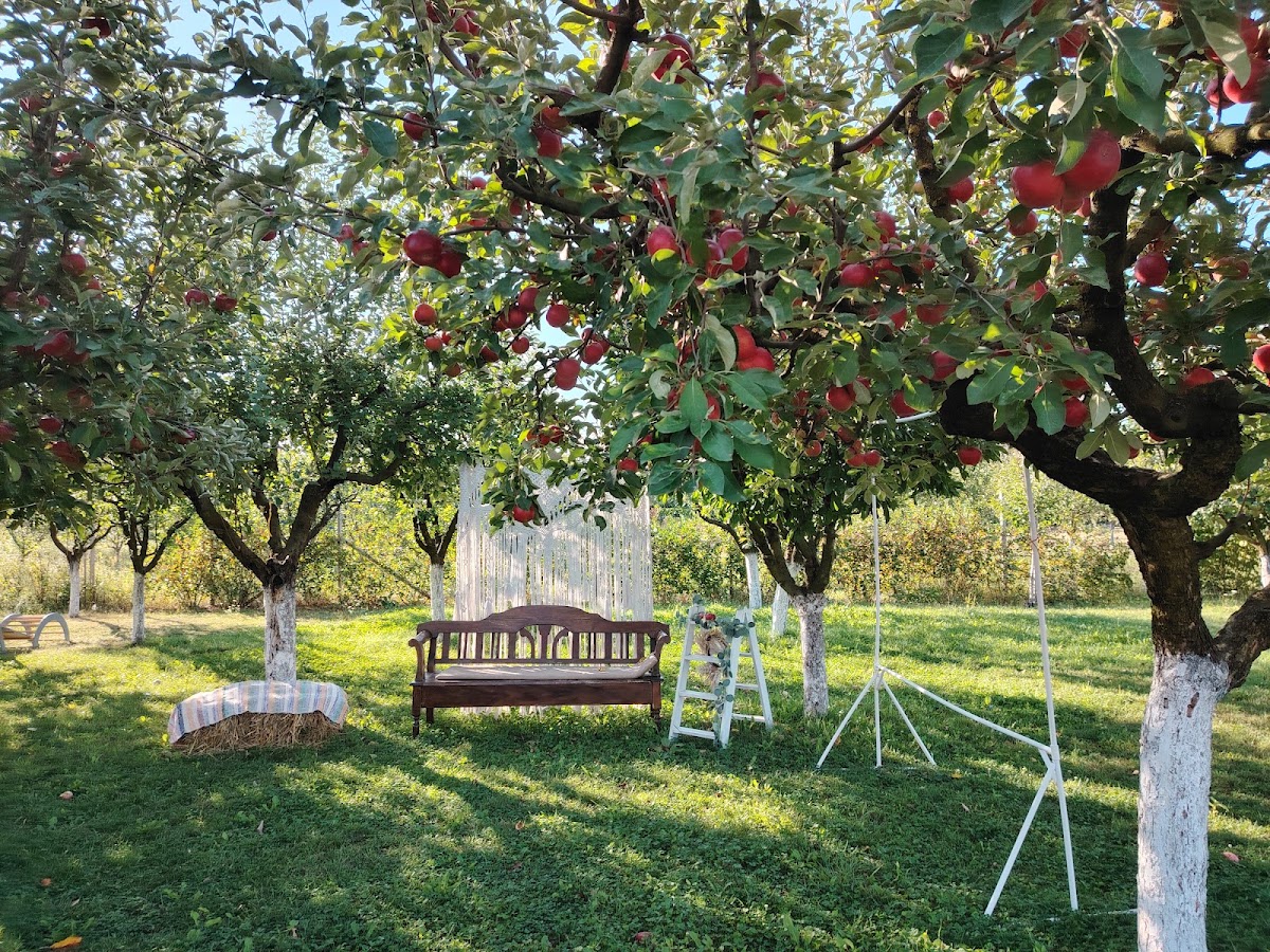 Pensiunea La Doi Pruni - foto 4