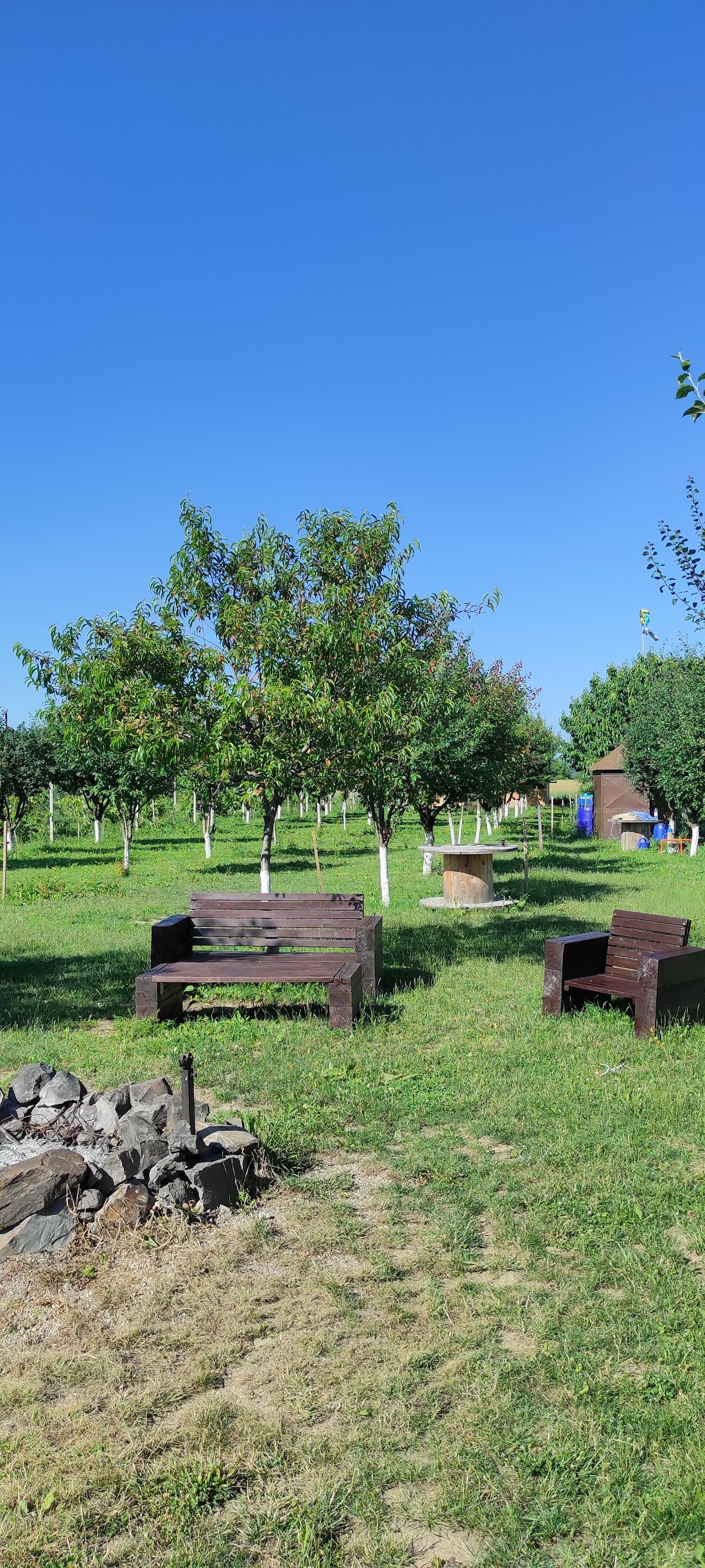 Pensiunea La Doi Pruni - foto 5