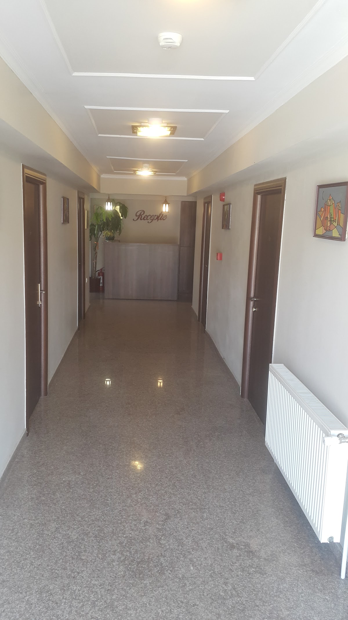 Pensiunea La Iani