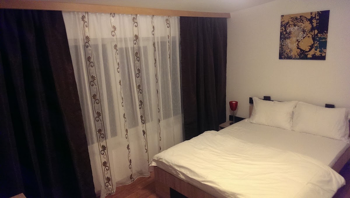 Pensiunea La Lao - foto 2