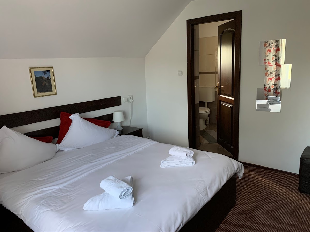 Pensiunea La Moara - foto 2