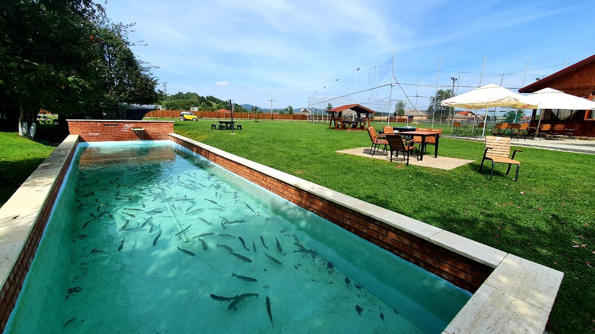 Pensiunea La Moara - foto 3