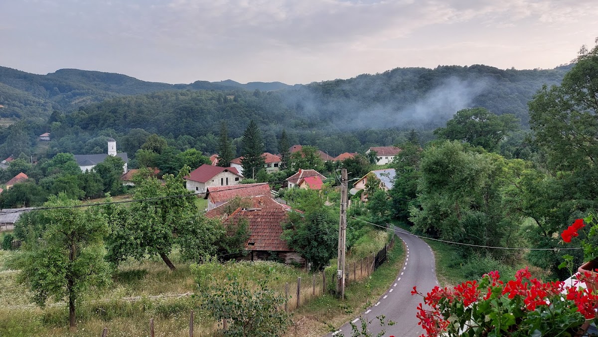 Pensiunea La Mustata