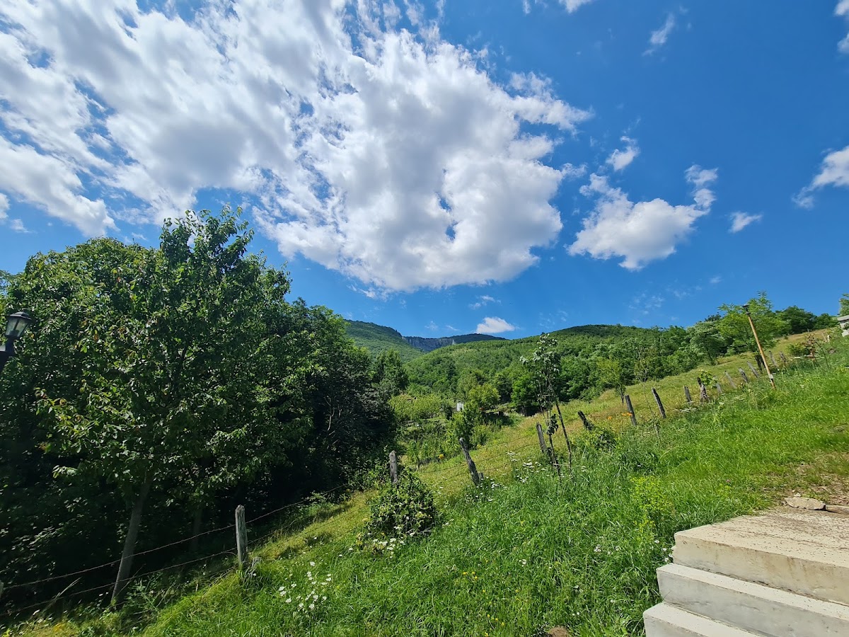 Pensiunea La Mustata