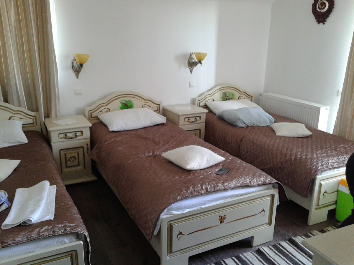 Pensiunea La Noru - foto 4