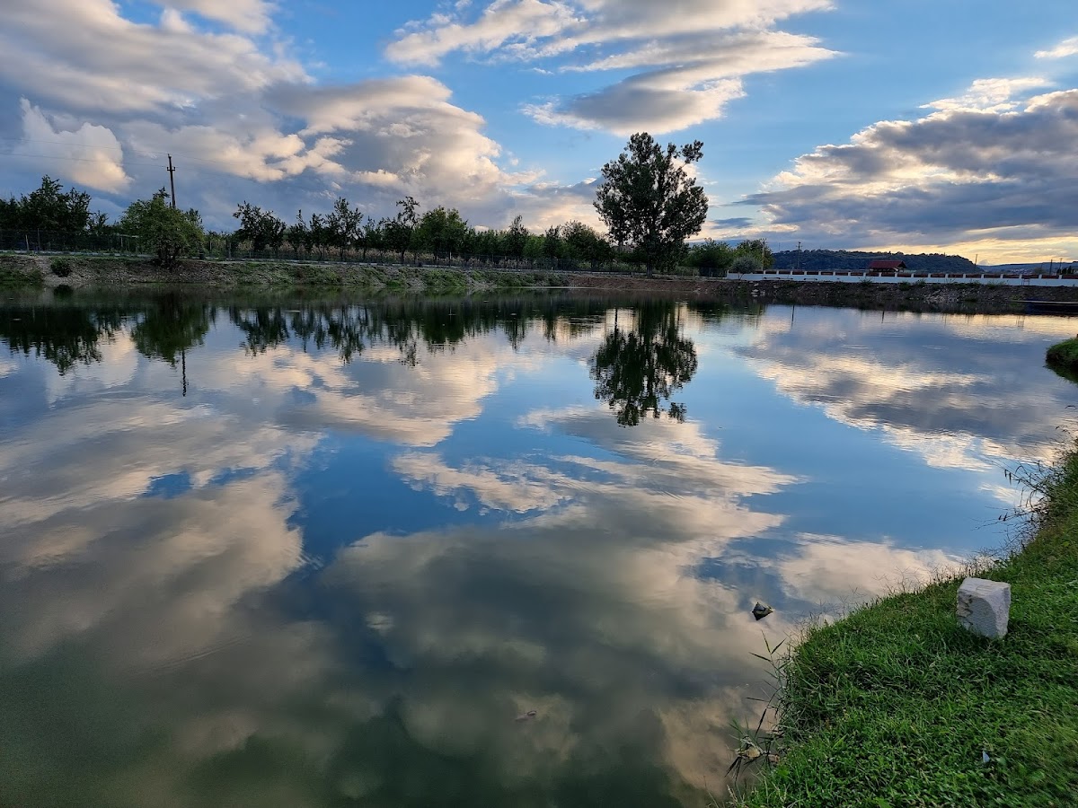 Pensiunea La Noru - foto 5