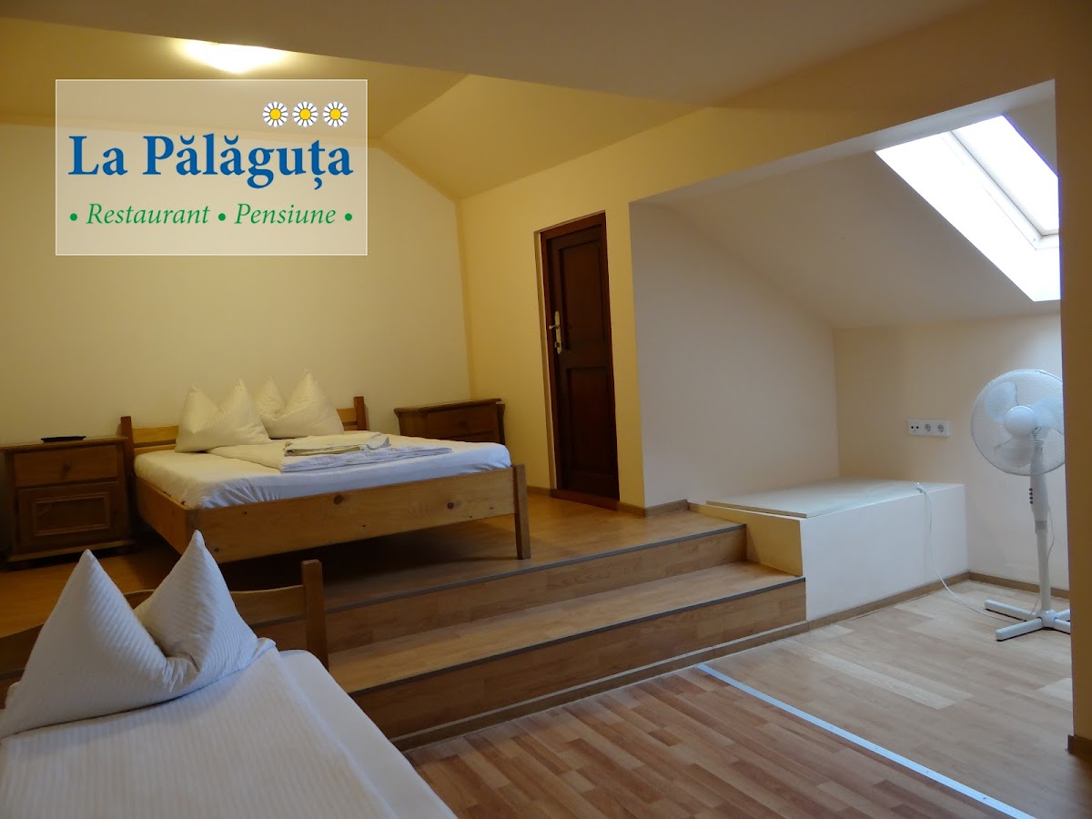 Pensiunea La Palaguta