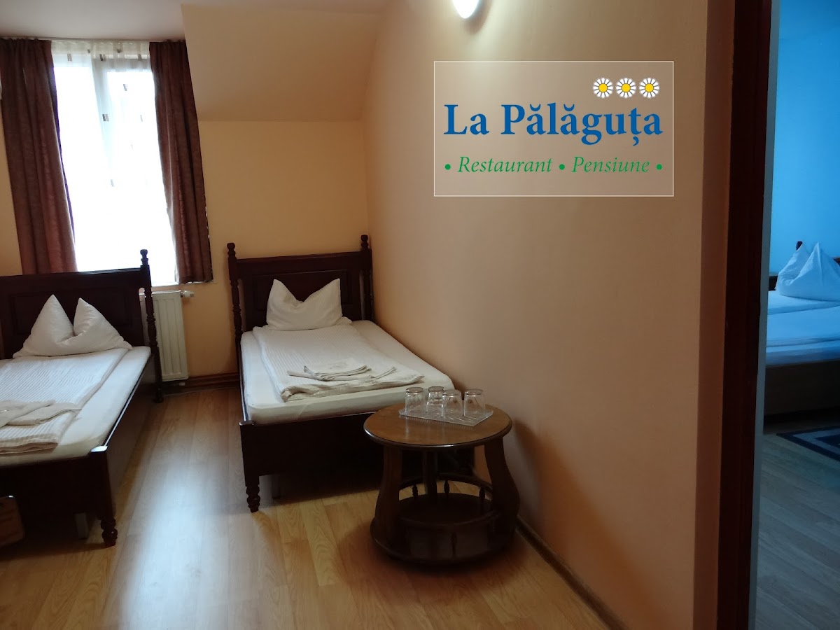 Pensiunea La Palaguta
