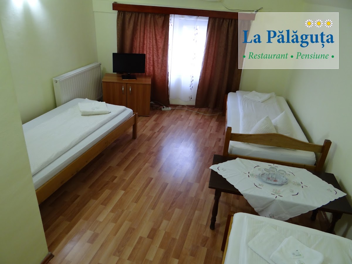Pensiunea La Palaguta