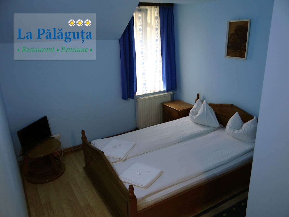 Pensiunea La Palaguta