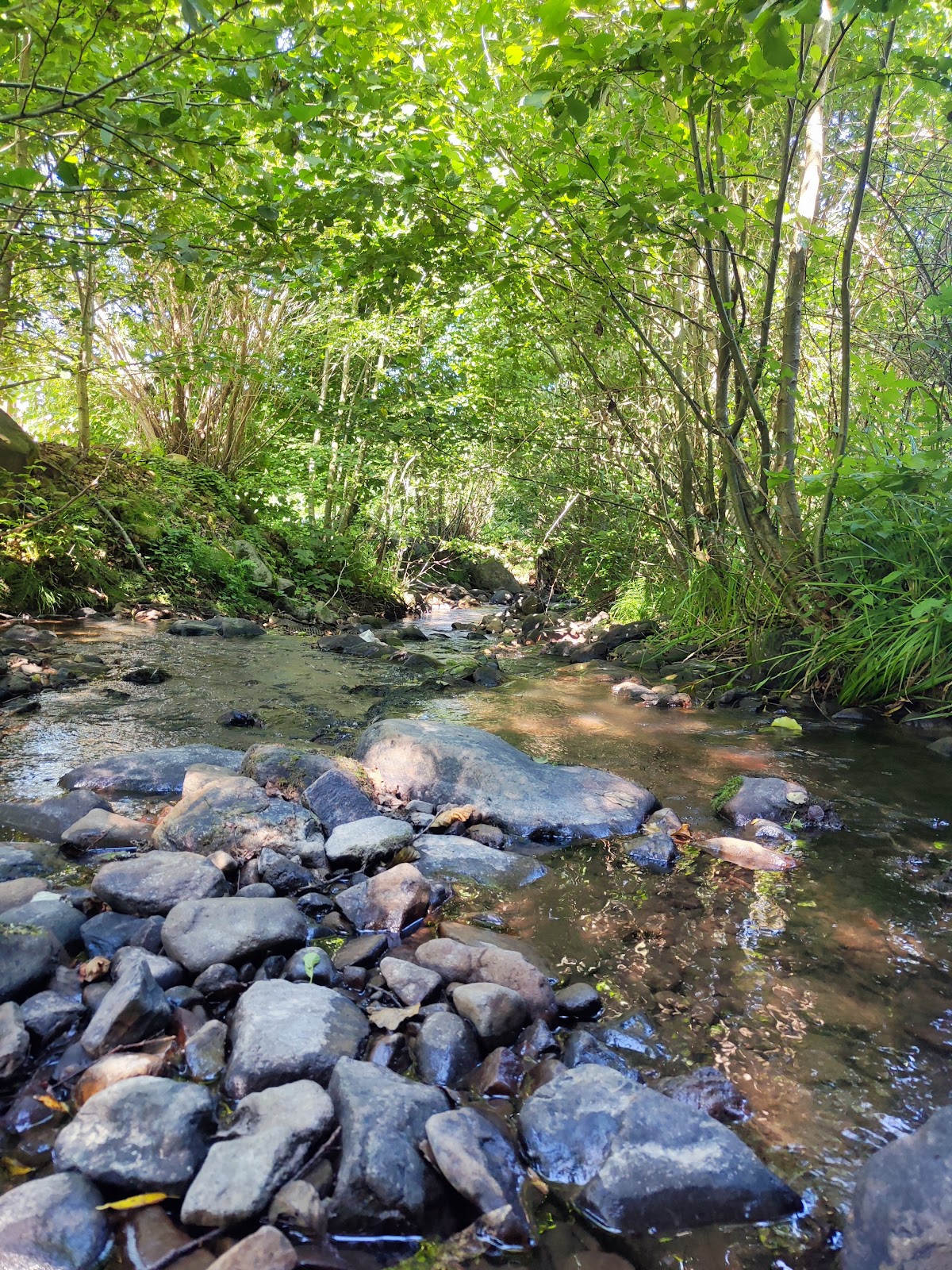 Pension "La Papa" - foto 4