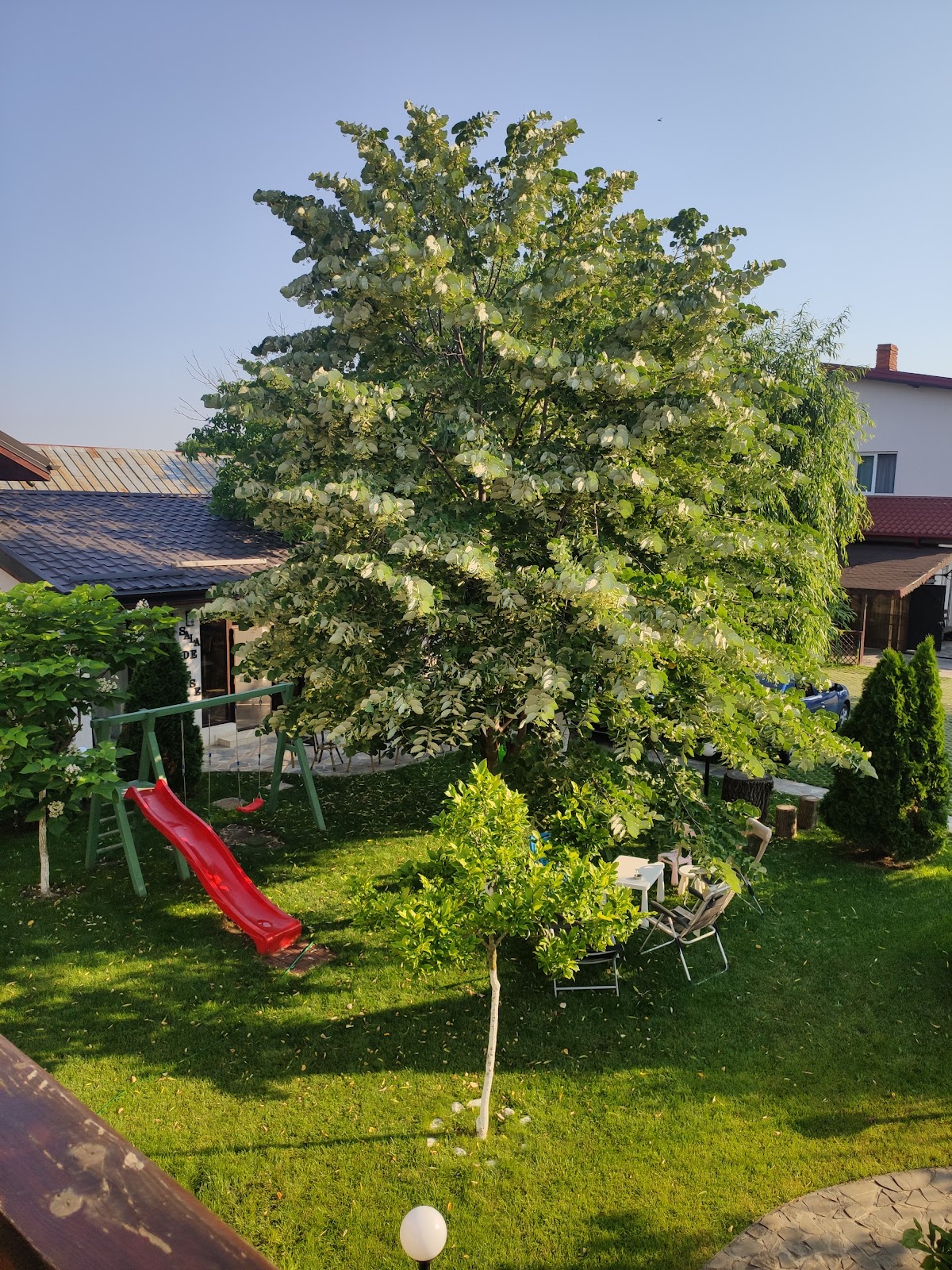 Pensiunea La Puiu - foto 1