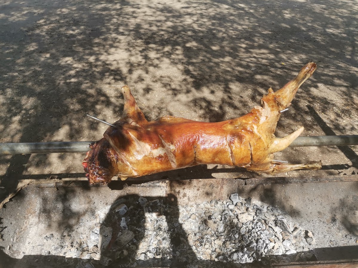 Pensiunea La Tase - foto 2