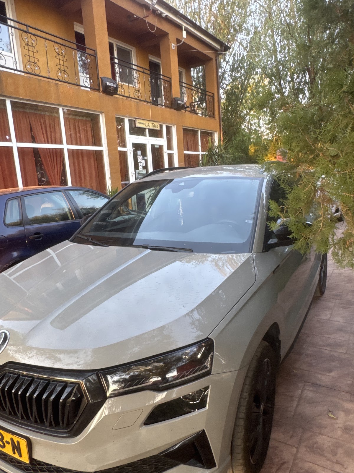 Pensiunea La Tase - foto 4