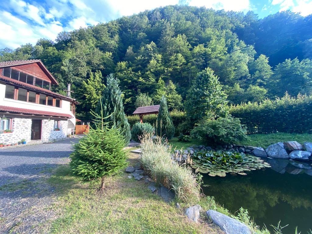 Pensiunea La Toderică - foto 3