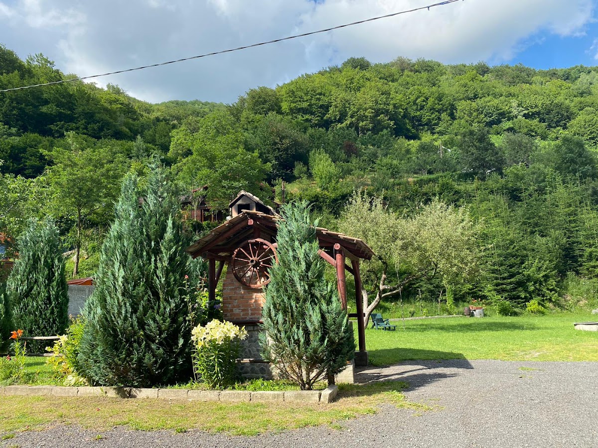 Pensiunea La Toderică - foto 5