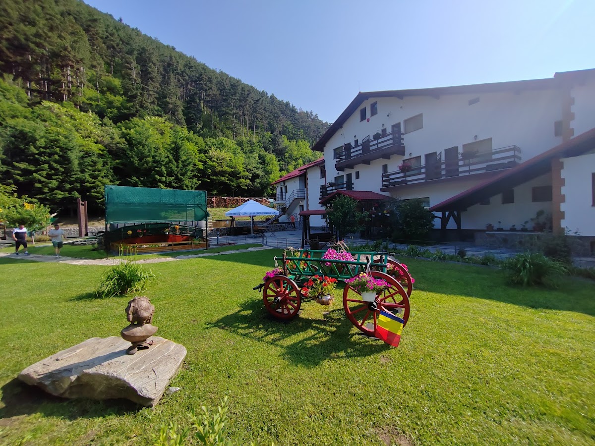 Pensiunea Lacul de Argint, Restaurant - foto 3