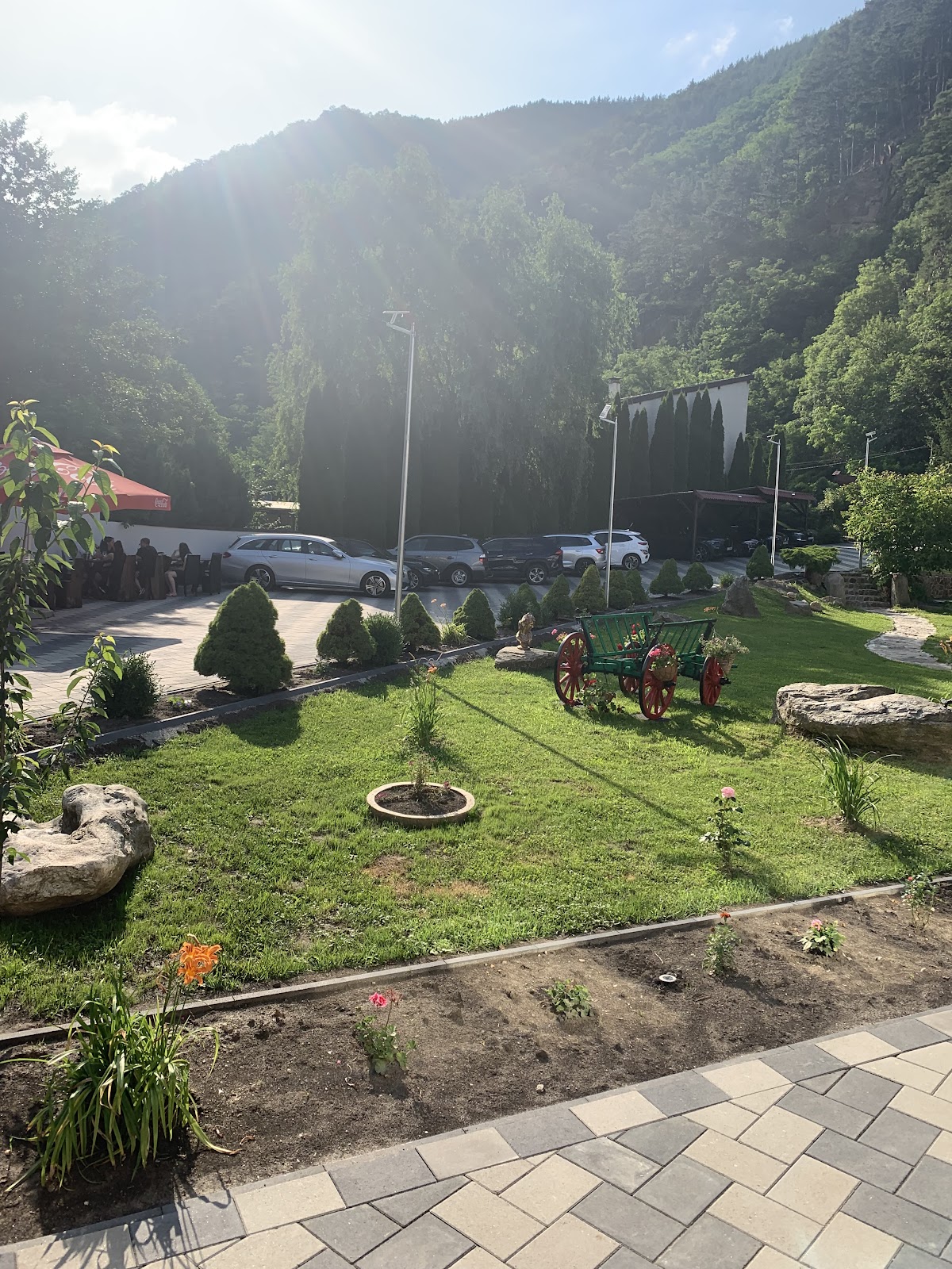 Pensiunea Lacul de Argint, Restaurant - foto 5