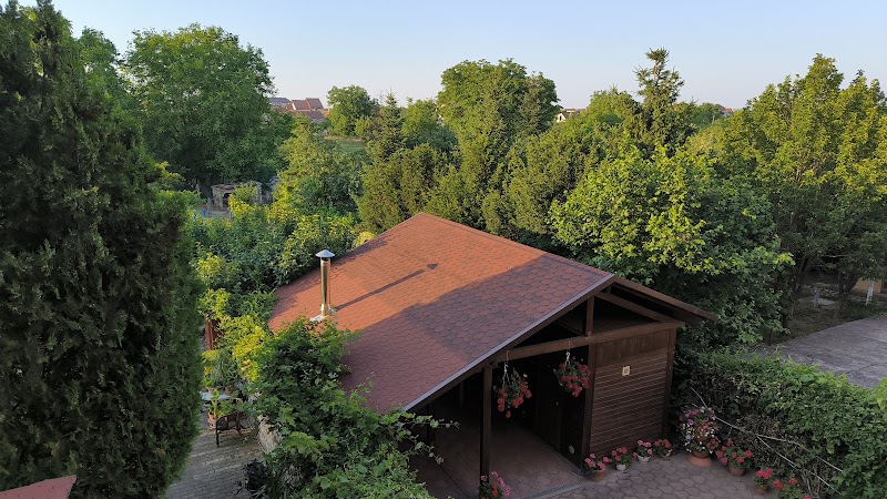 Pensiunea Larisa, Arad