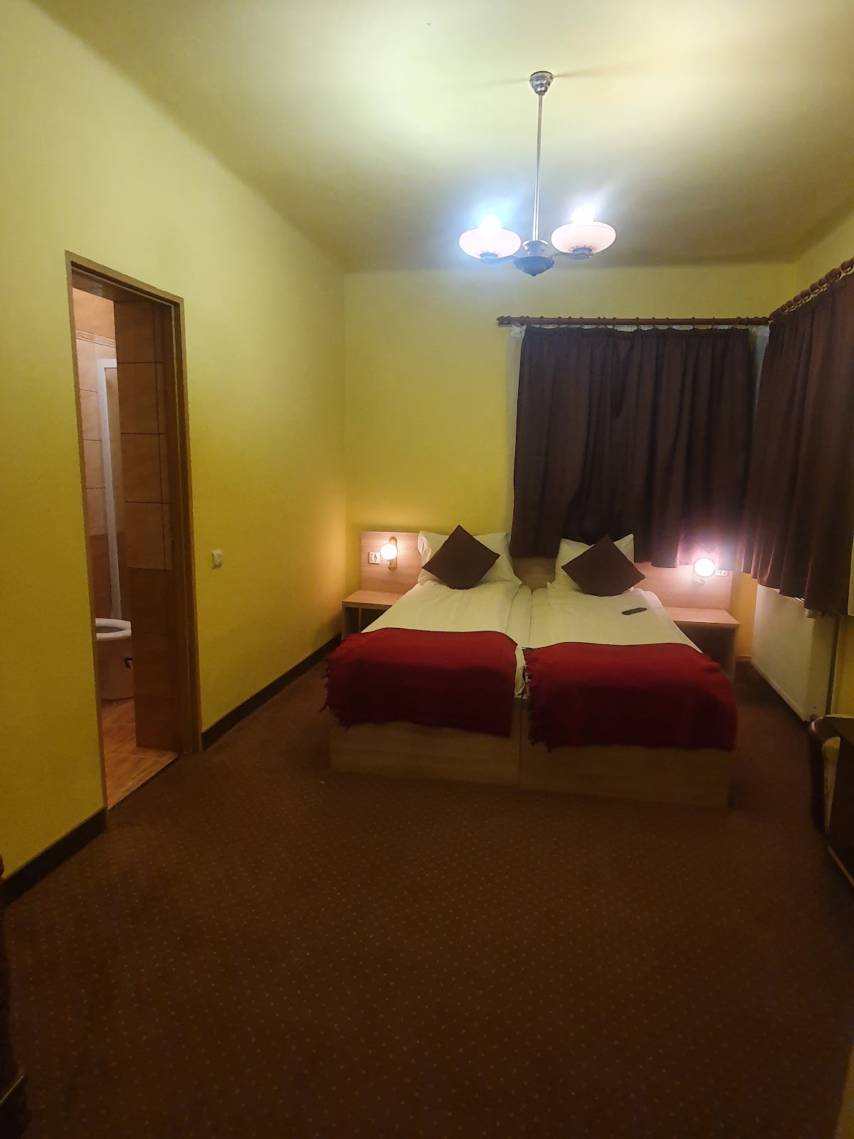 Pensiunea Leia Cârțișoara - foto 2