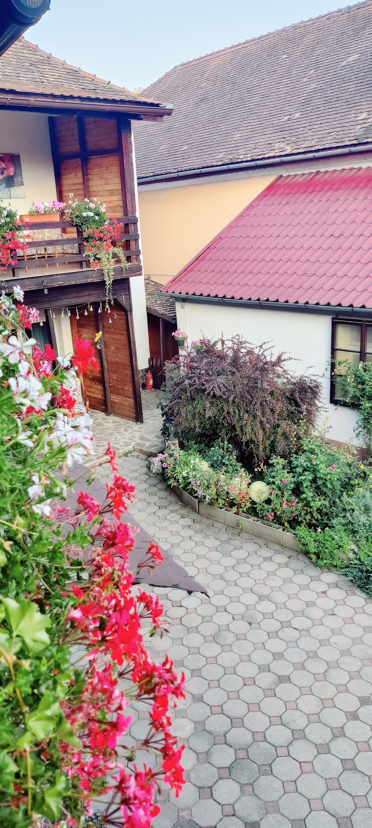 Pensiunea Liana - foto 5