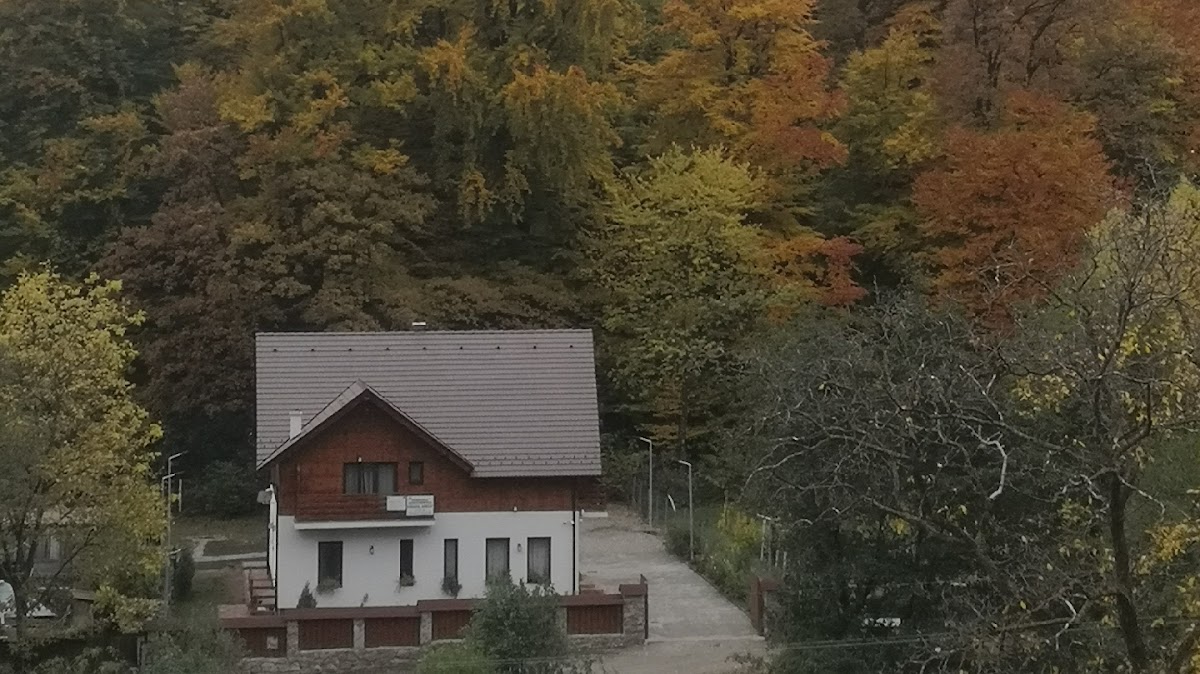 Pensiunea Livada Amely - foto 3