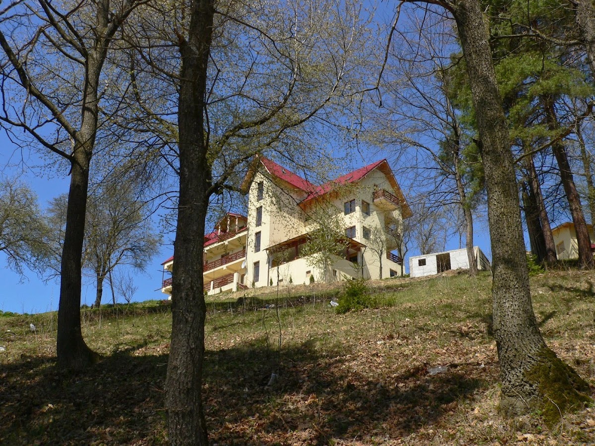 Pensiunea Lostrita