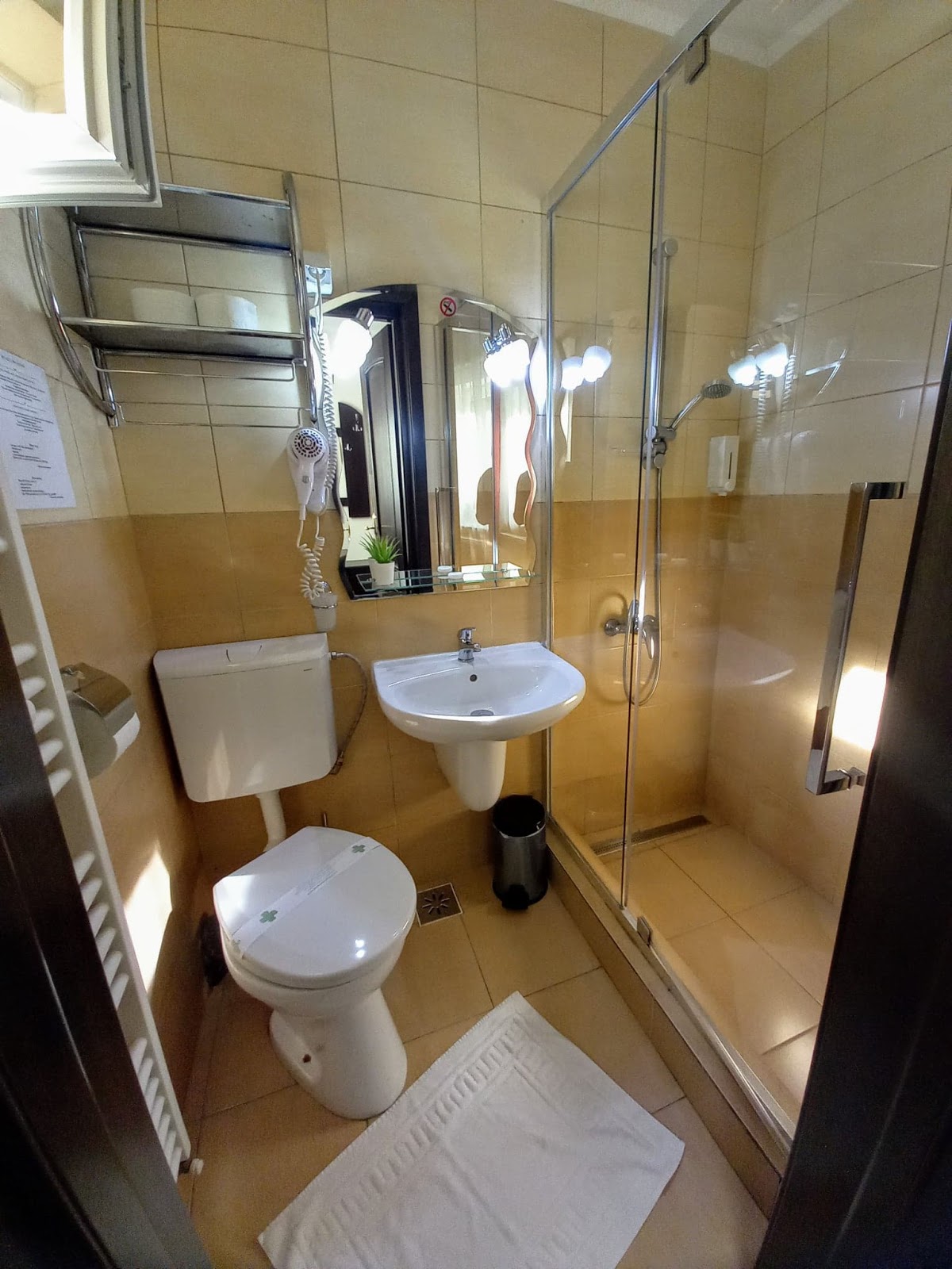 Pensiunea Magnolia - foto 3