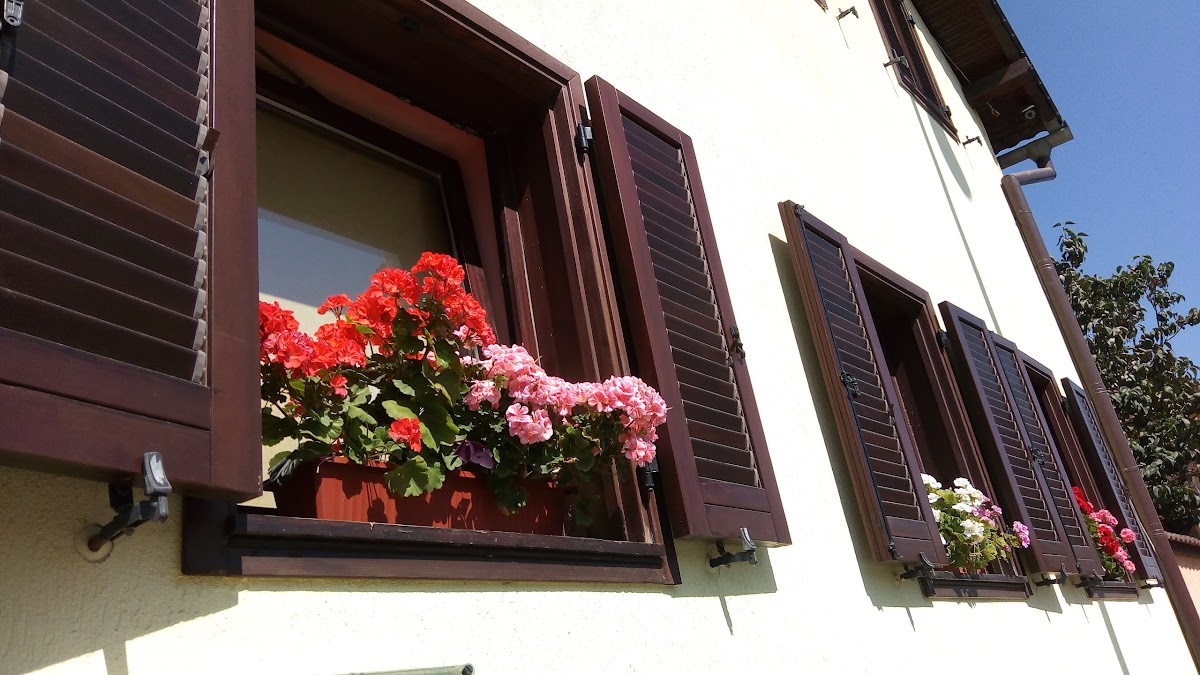 Pensiunea Magnolia - foto 4