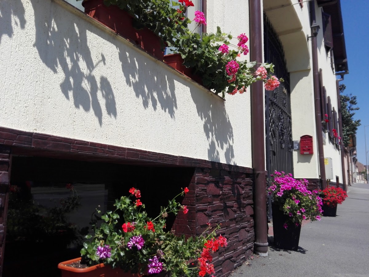 Pensiunea Magnolia - foto 5