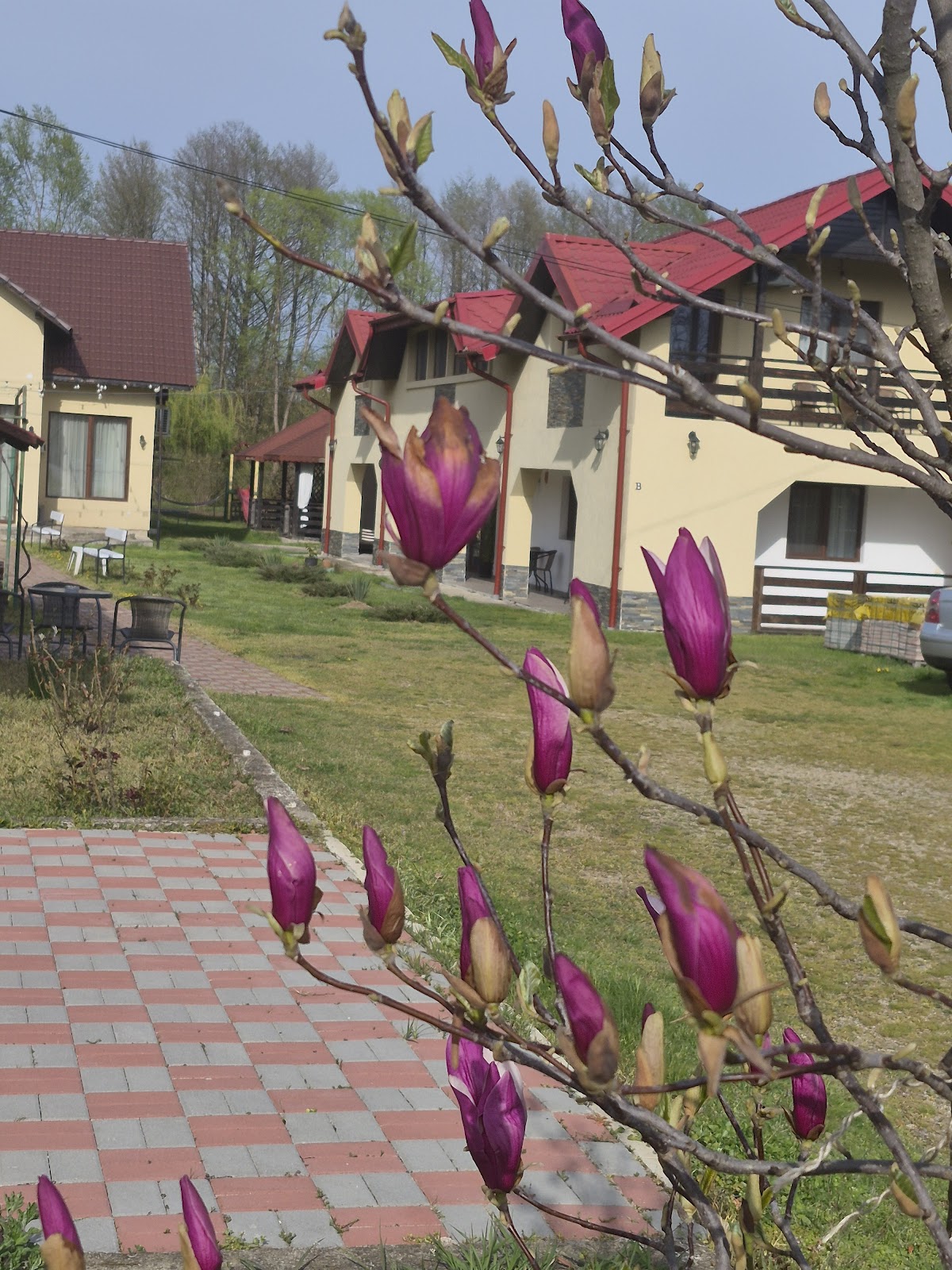 Pensiunea Magnolia, Tismana