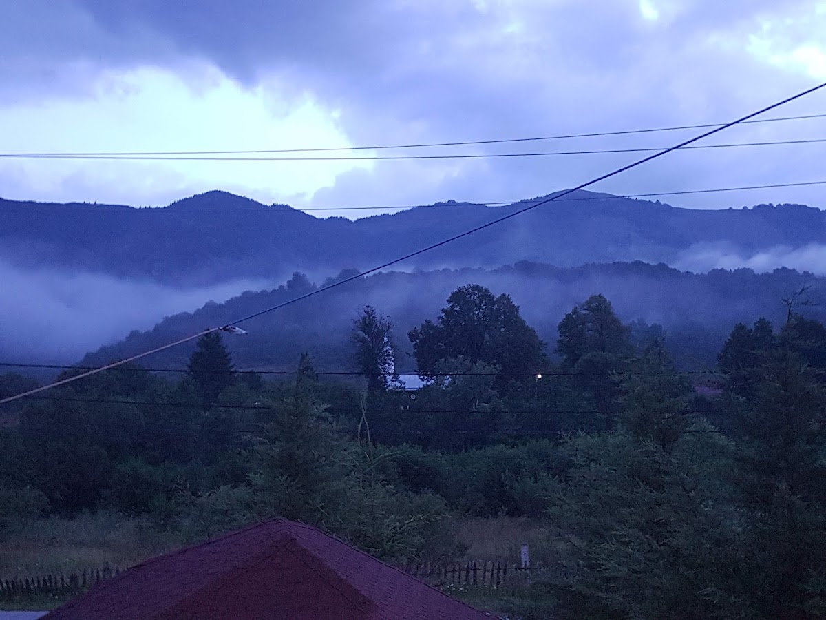 Pensiunea Maia - foto 5