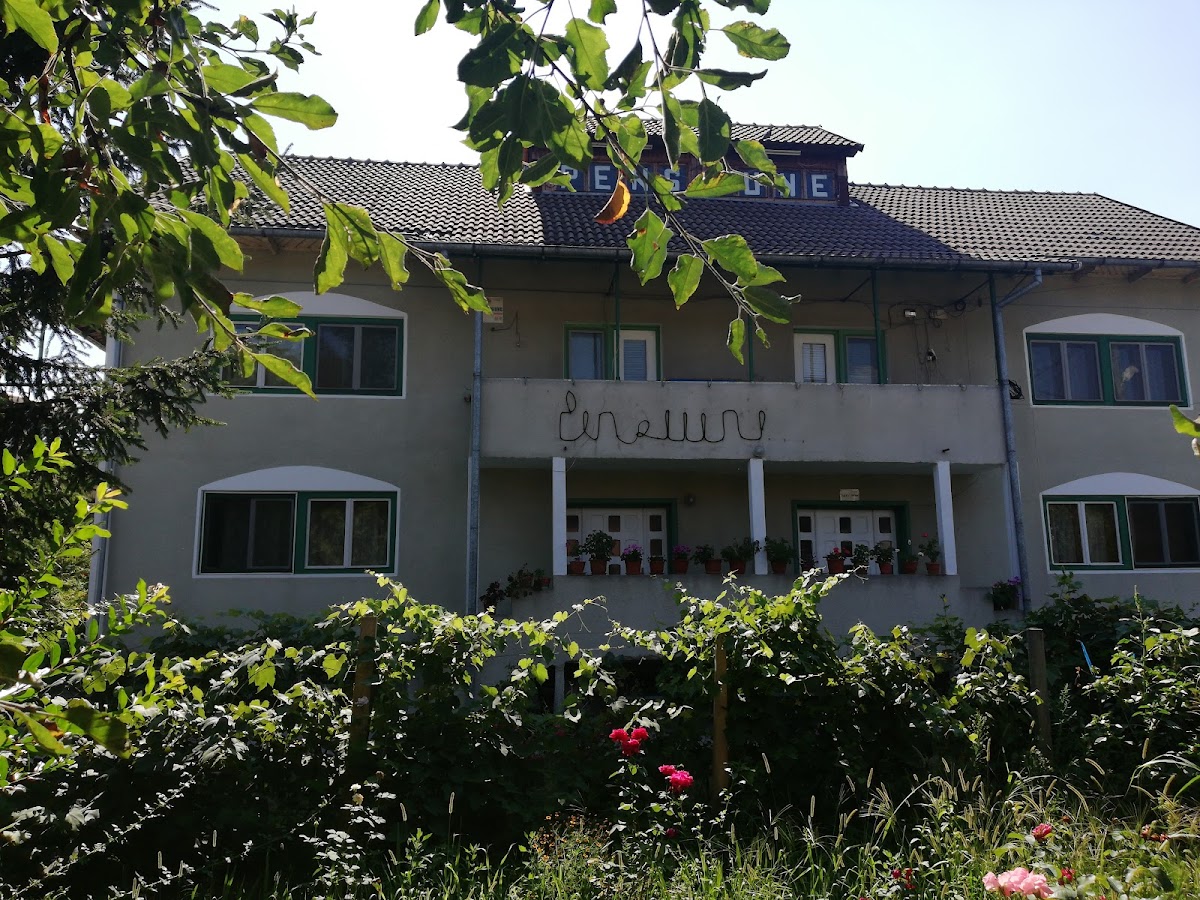Pensiunea Mara, Comuna Budesti, Sat Linia, Strada Principala, nr 80, Vâlcea, Budeşti