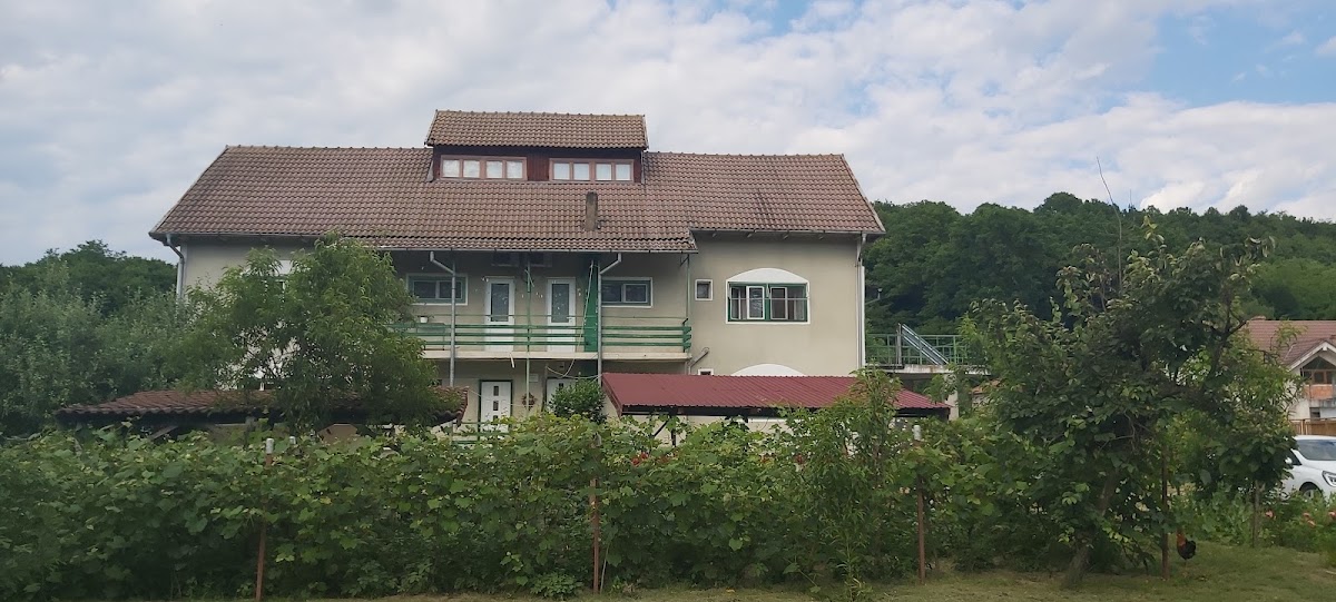 Pensiunea Mara, Comuna Budesti, Sat Linia, Strada Principala, nr 80, Vâlcea