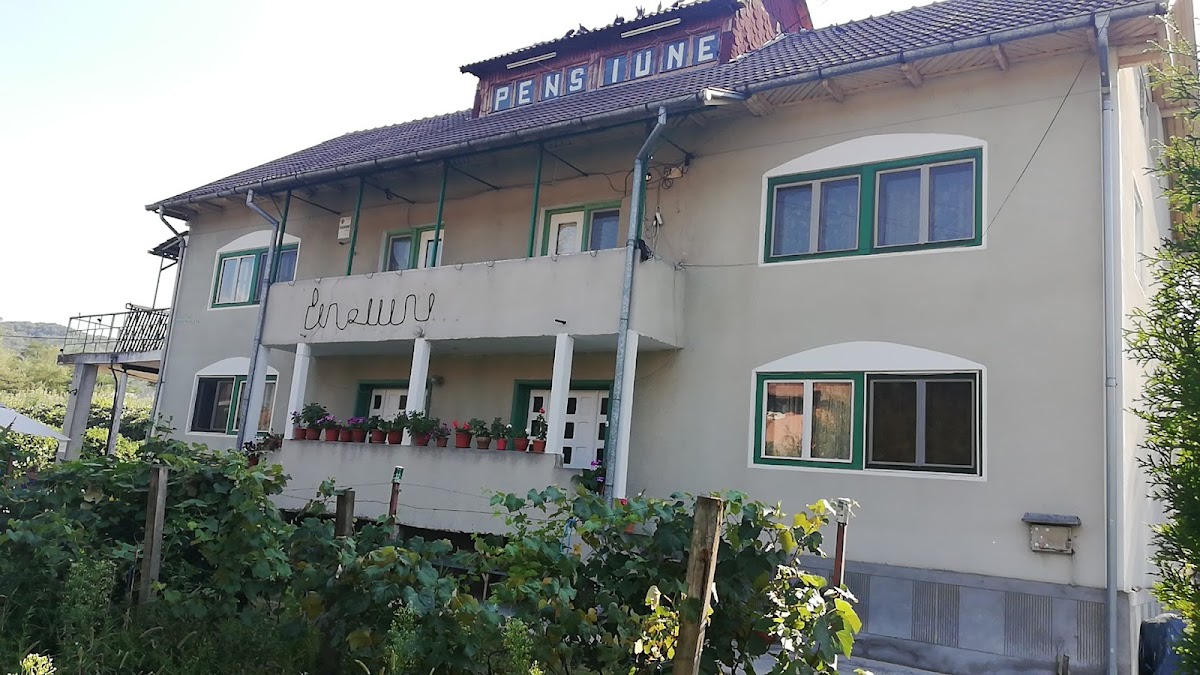 Pensiunea Mara, Comuna Budesti, Sat Linia, Strada Principala, nr 80, Vâlcea