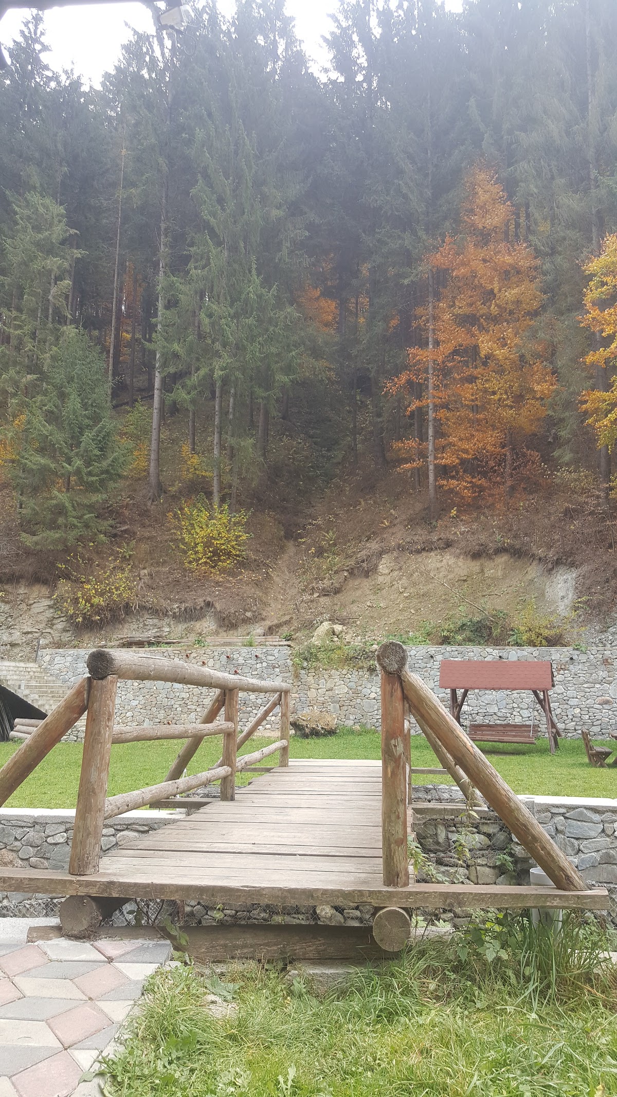 Pensiunea Maryon - foto 4