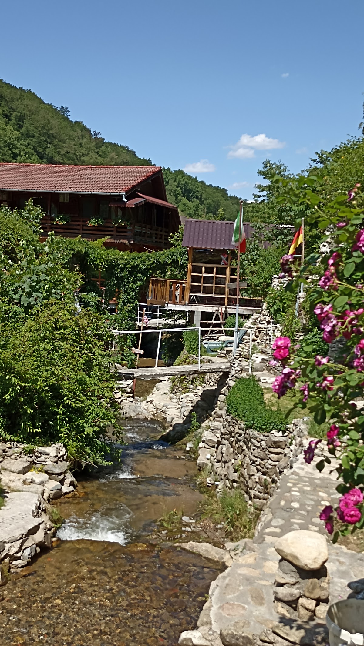 Pensiunea Mioritică - foto 3