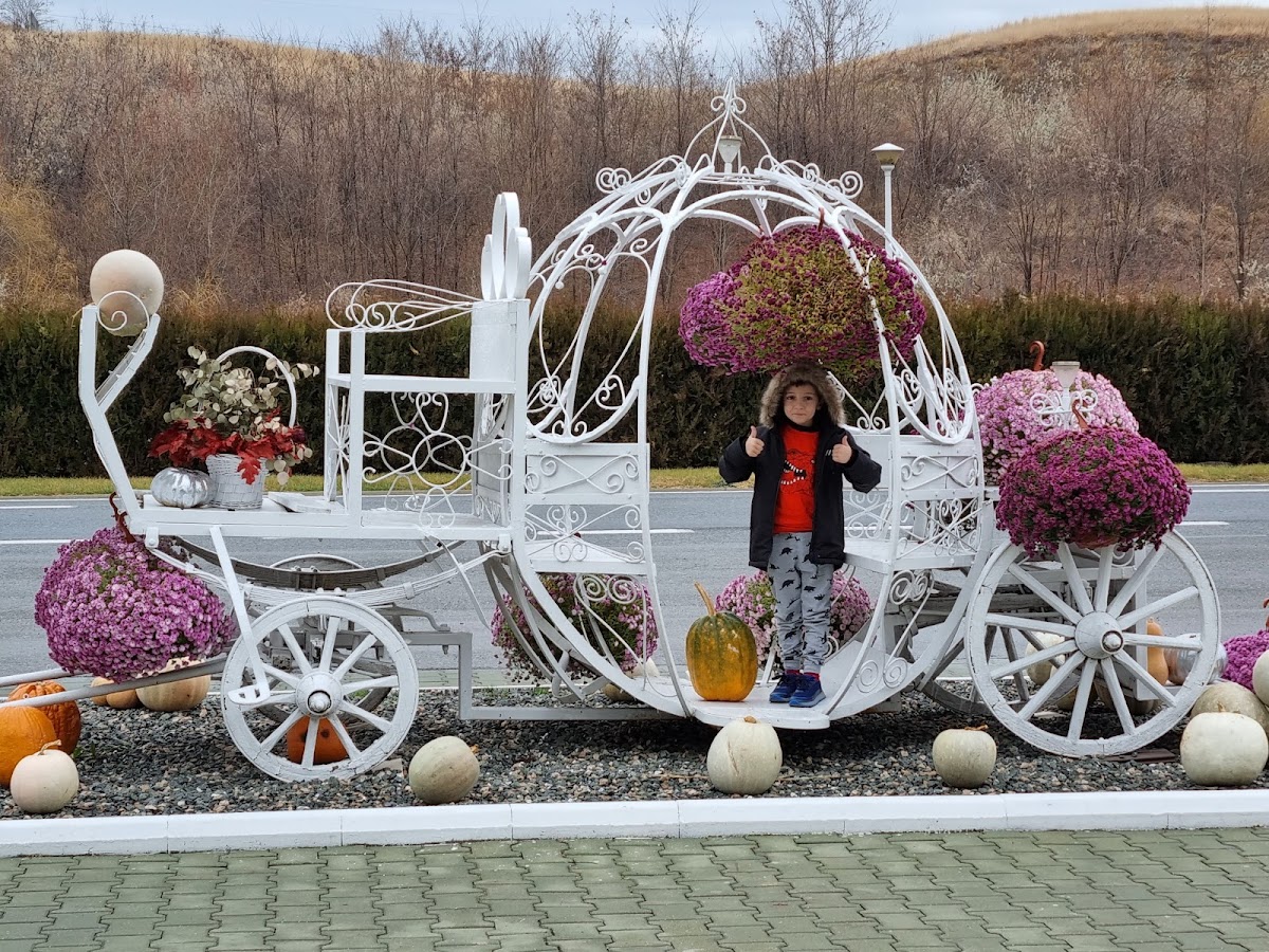 PENSIUNEA MIRA - Simba TOURS.SRL - foto 4