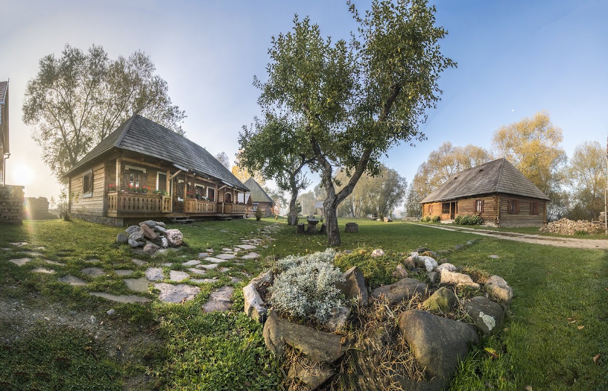 Dăneşti
