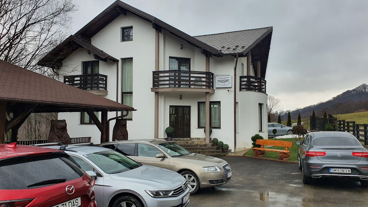 Pensiunea Moroșanu Luna Șes - foto 1