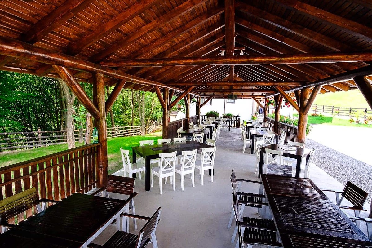 Pensiunea Moroșanu Luna Șes - foto 3