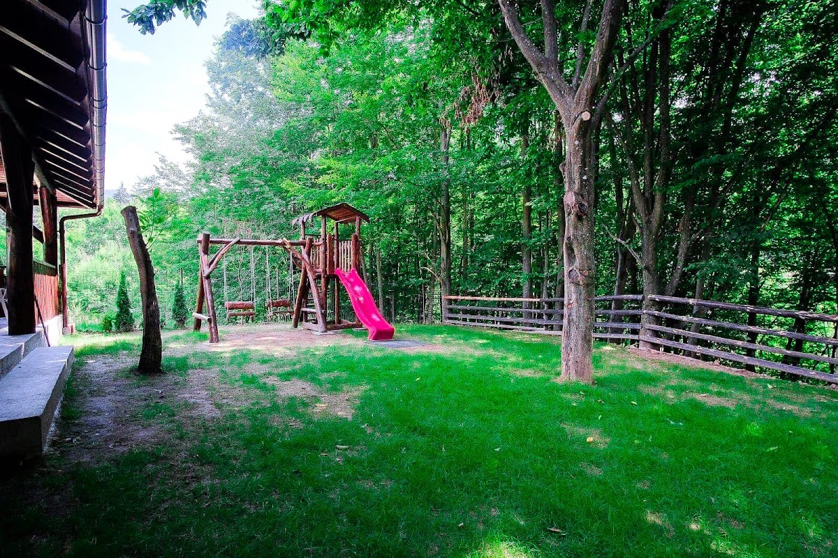 Pensiunea Moroșanu Luna Șes - foto 4