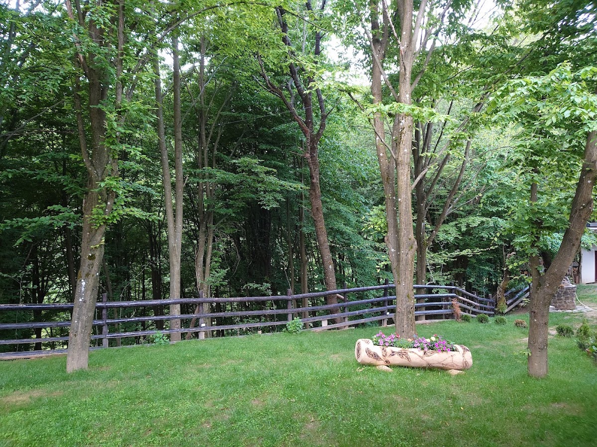 Pensiunea Moroșanu Luna Șes - foto 5