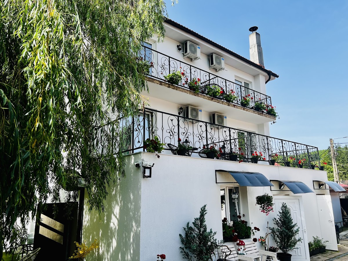 Pensiunea Muntii Aninei - foto 3