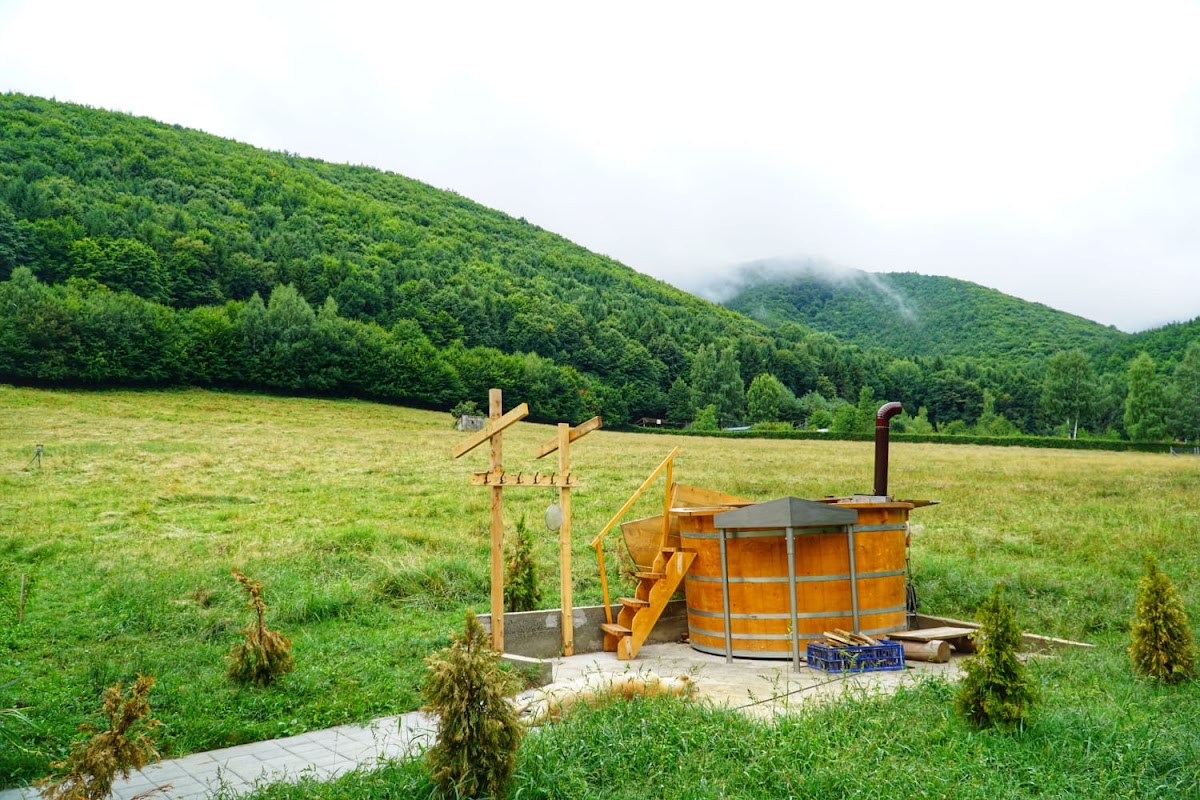 Pensiunea Natura Sadu - foto 3