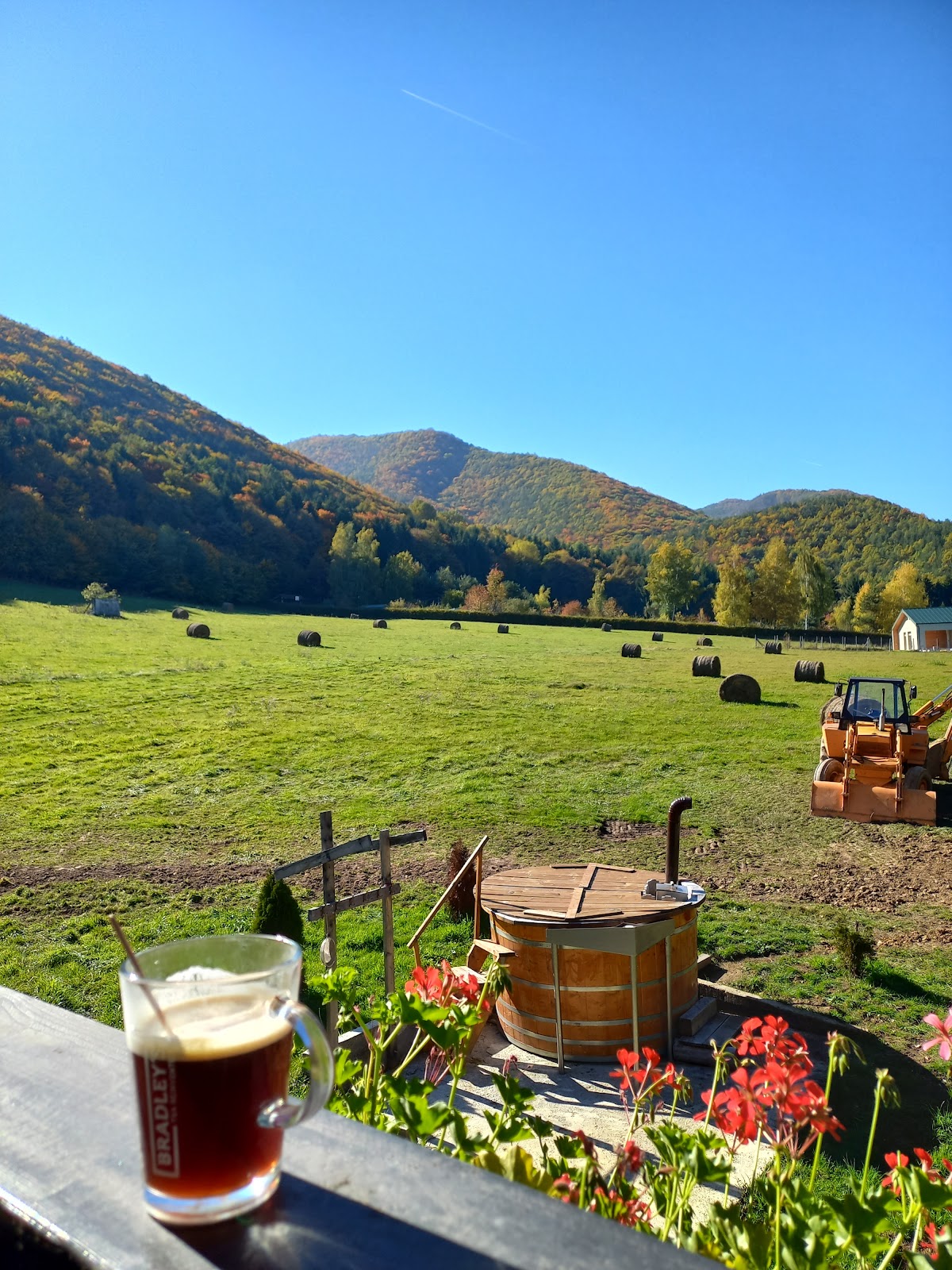 Pensiunea Natura Sadu - foto 5