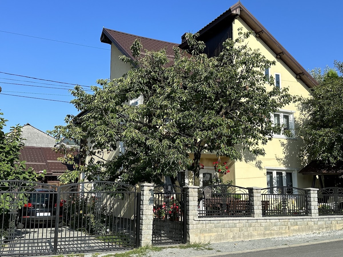 Pensiunea Nechita, Şanţ